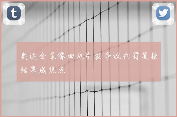奥运会录像回放引发争议判罚复核结果成焦点